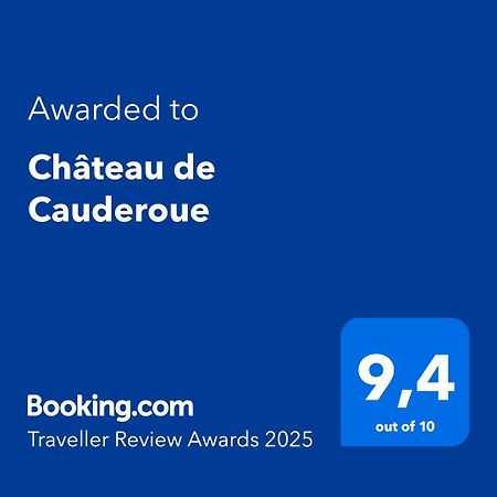 Chateau De Cauderoue Nérac Esterno foto