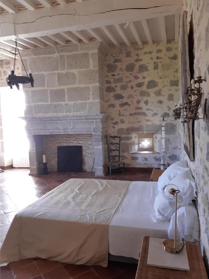 Chateau De Cauderoue Nérac Esterno foto