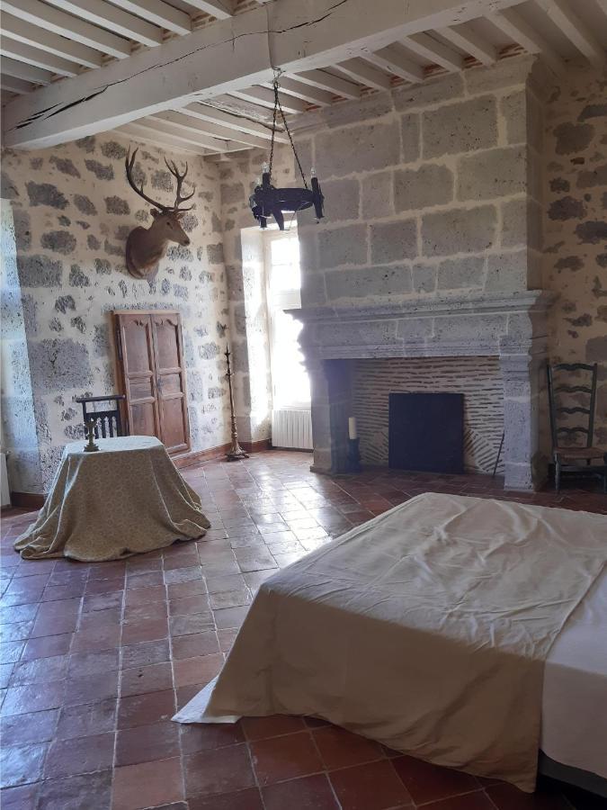 Chateau De Cauderoue Nérac Esterno foto