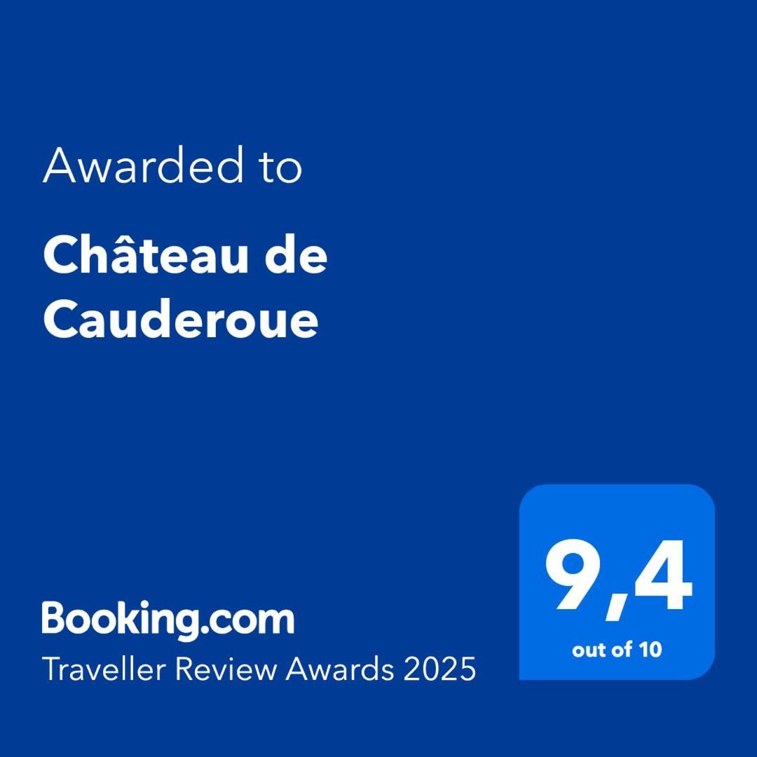 Chateau De Cauderoue Nérac Esterno foto